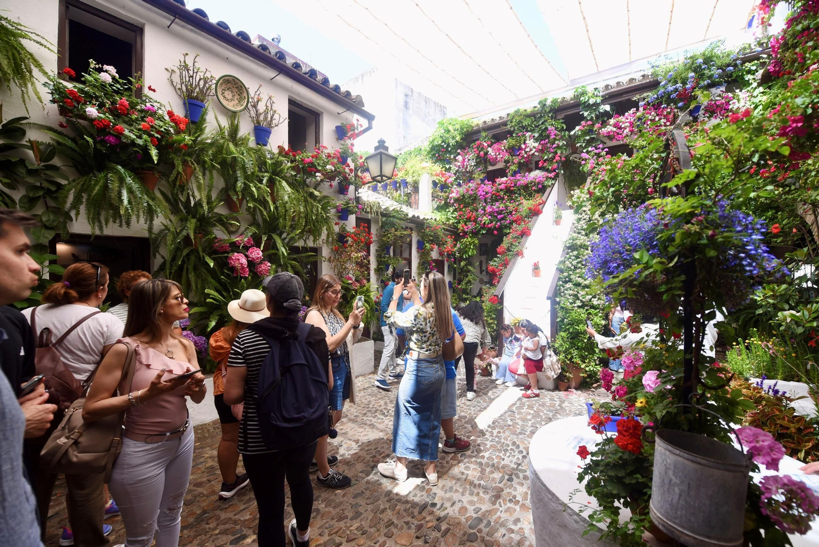 El último sábado de Patios de Córdoba en Alcázar Viejo, en imágenes