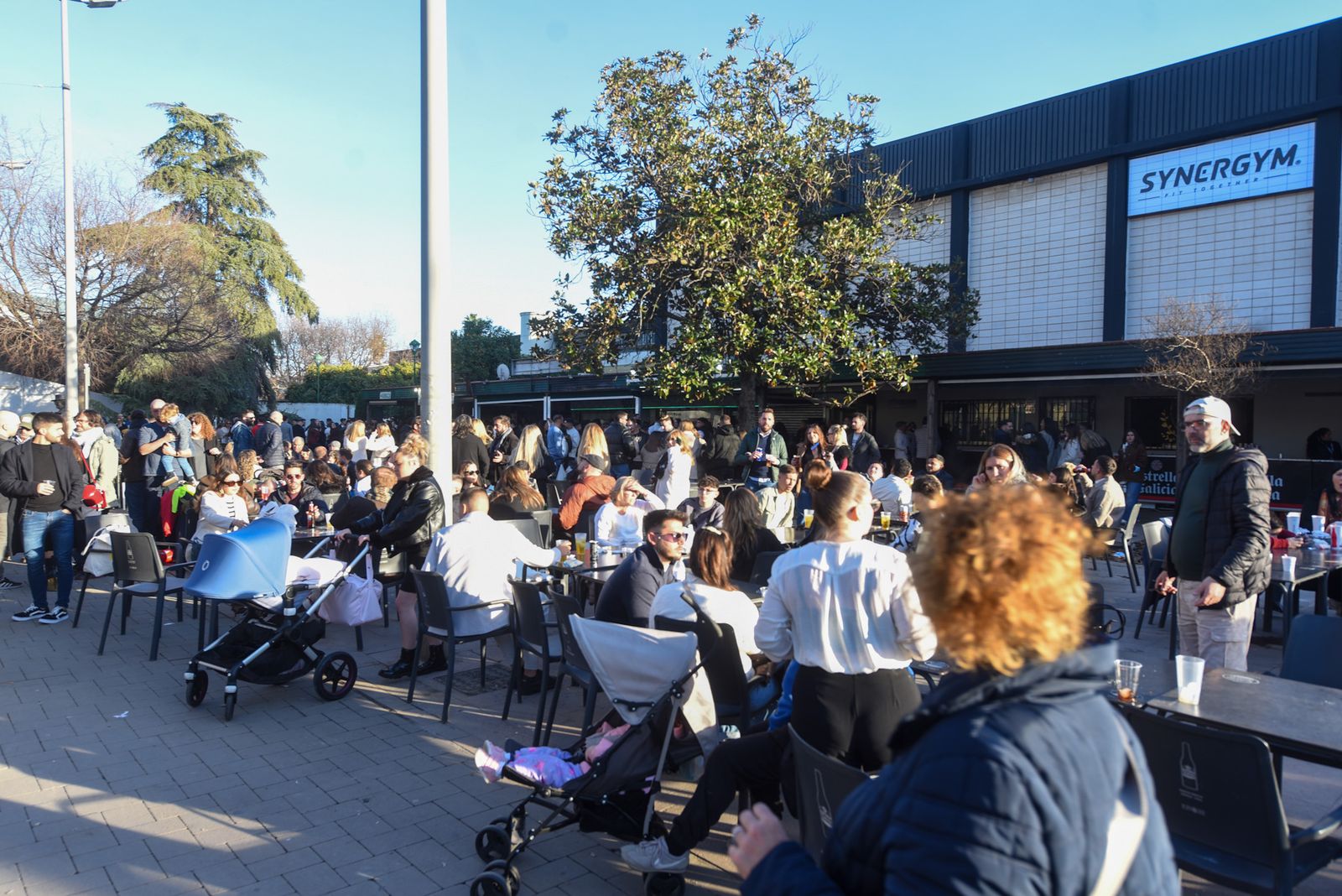 La Tardevieja en Córdoba para despedir 2025, en imágenes