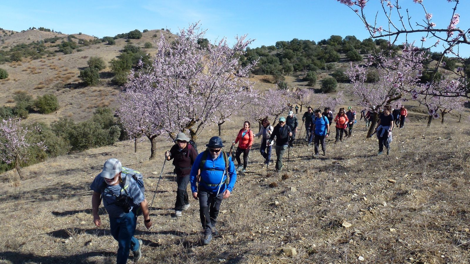 Ruta de senderismo por los Encinares del Cabezo.