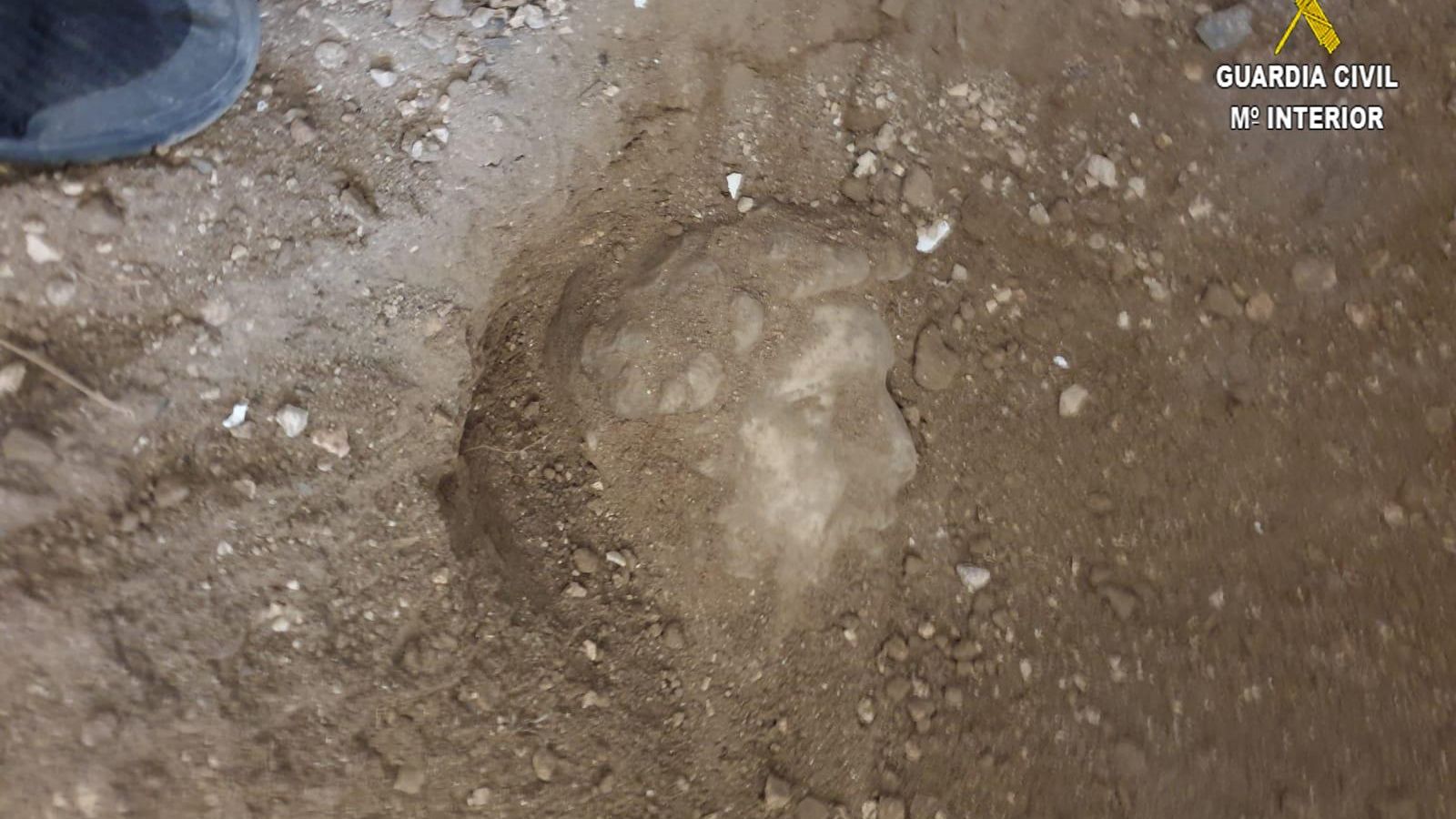 Lugar en el que fue hallada la cabeza del emperador.