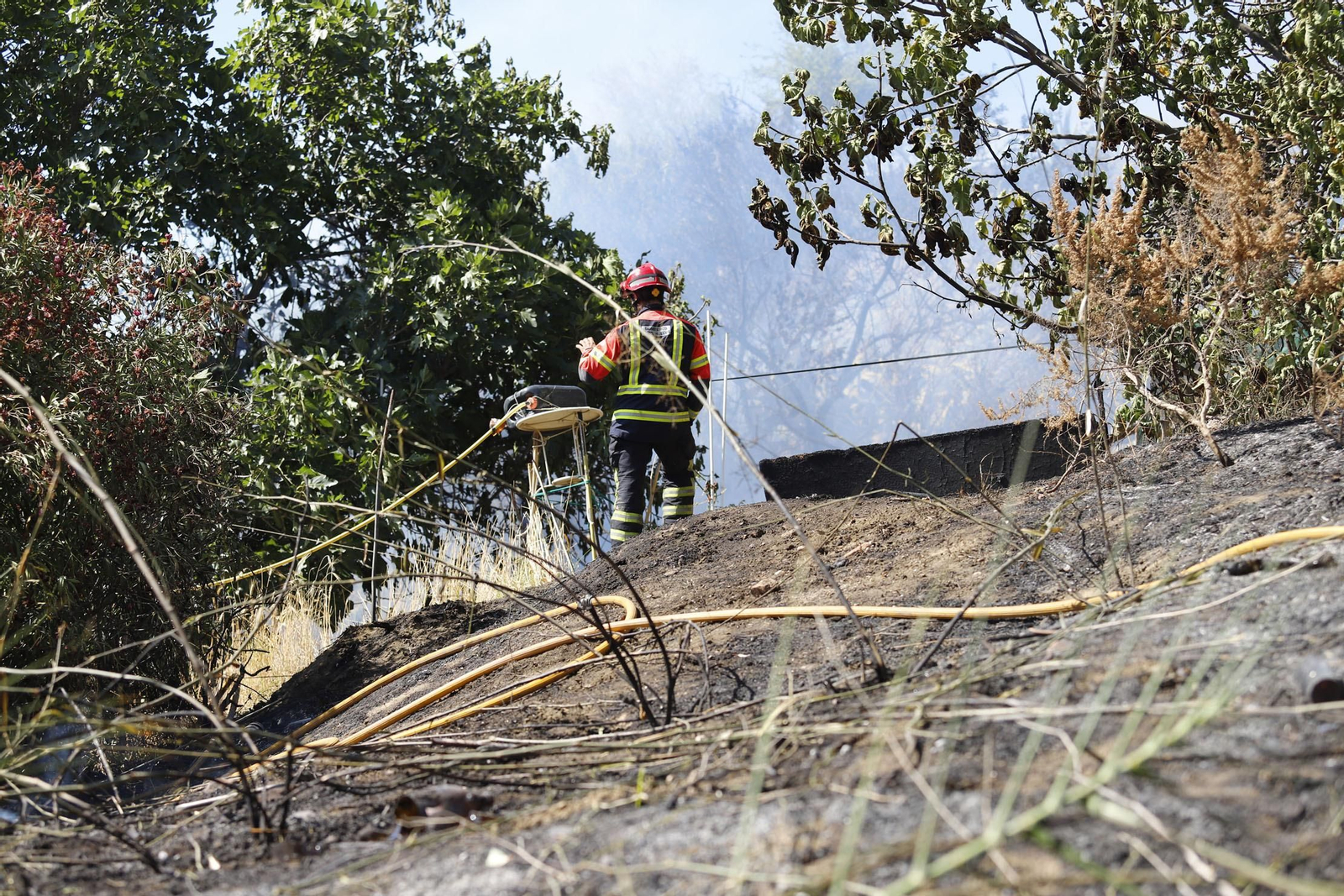 Imágenes del espectacular incendio en las laderas del Conquero