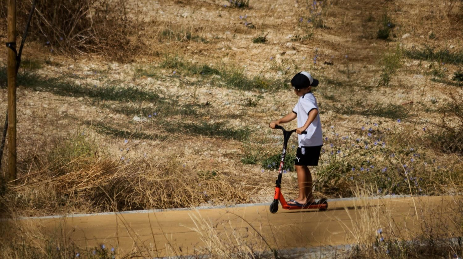 Así está el bosque urbano de La Canaleja en Jerez