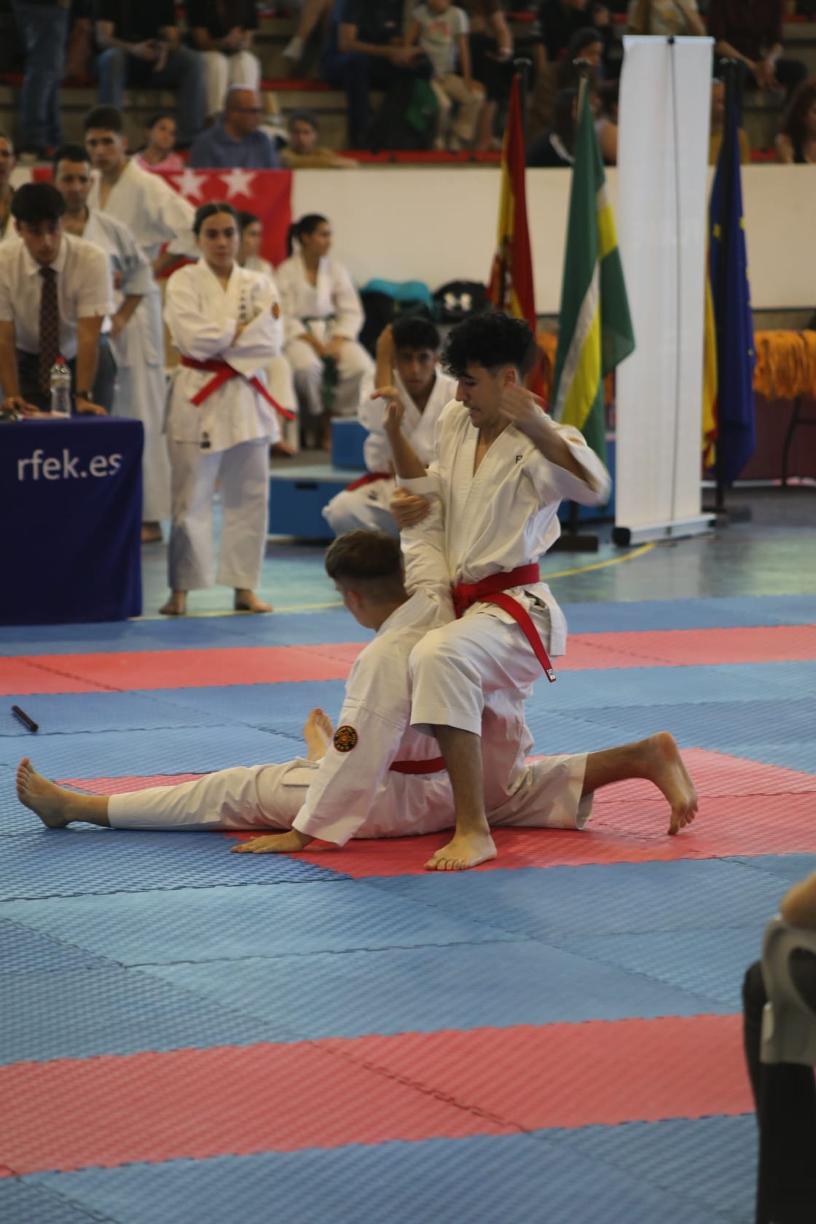 Las mejores imágenes de la Escuela de Nihon Tai-Jitsu del Club Nazaret en el Campeonato de España