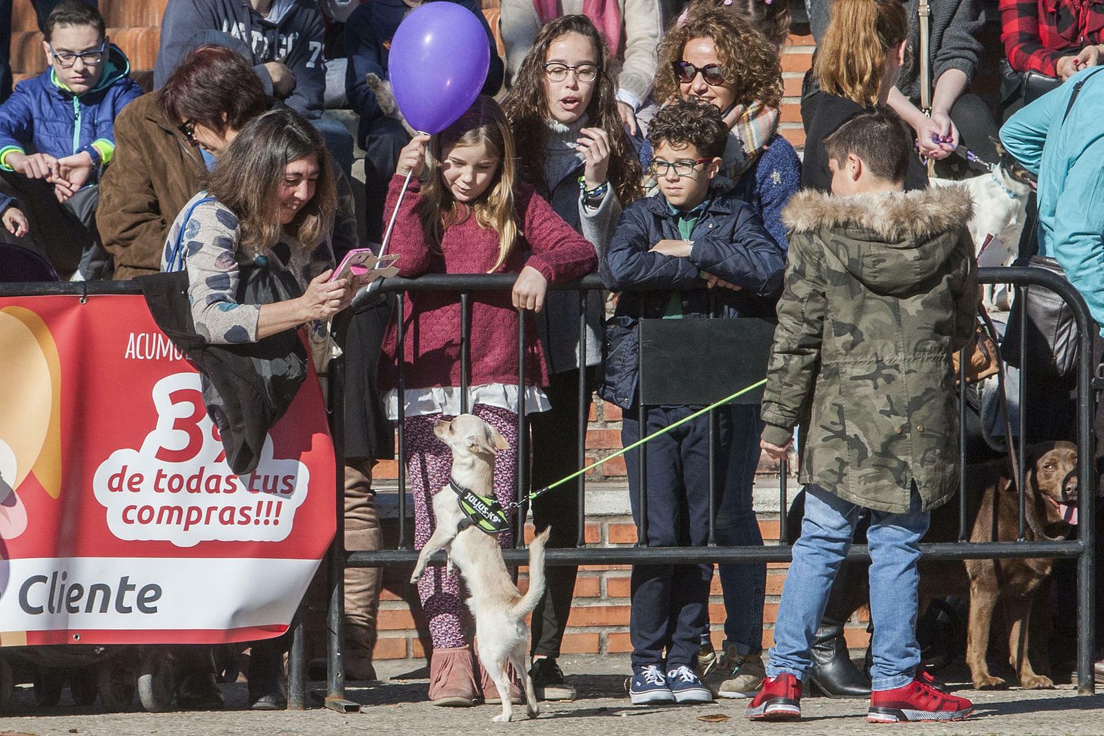 Fiesta de San Antón en el Parque, en una imagen de archivo.