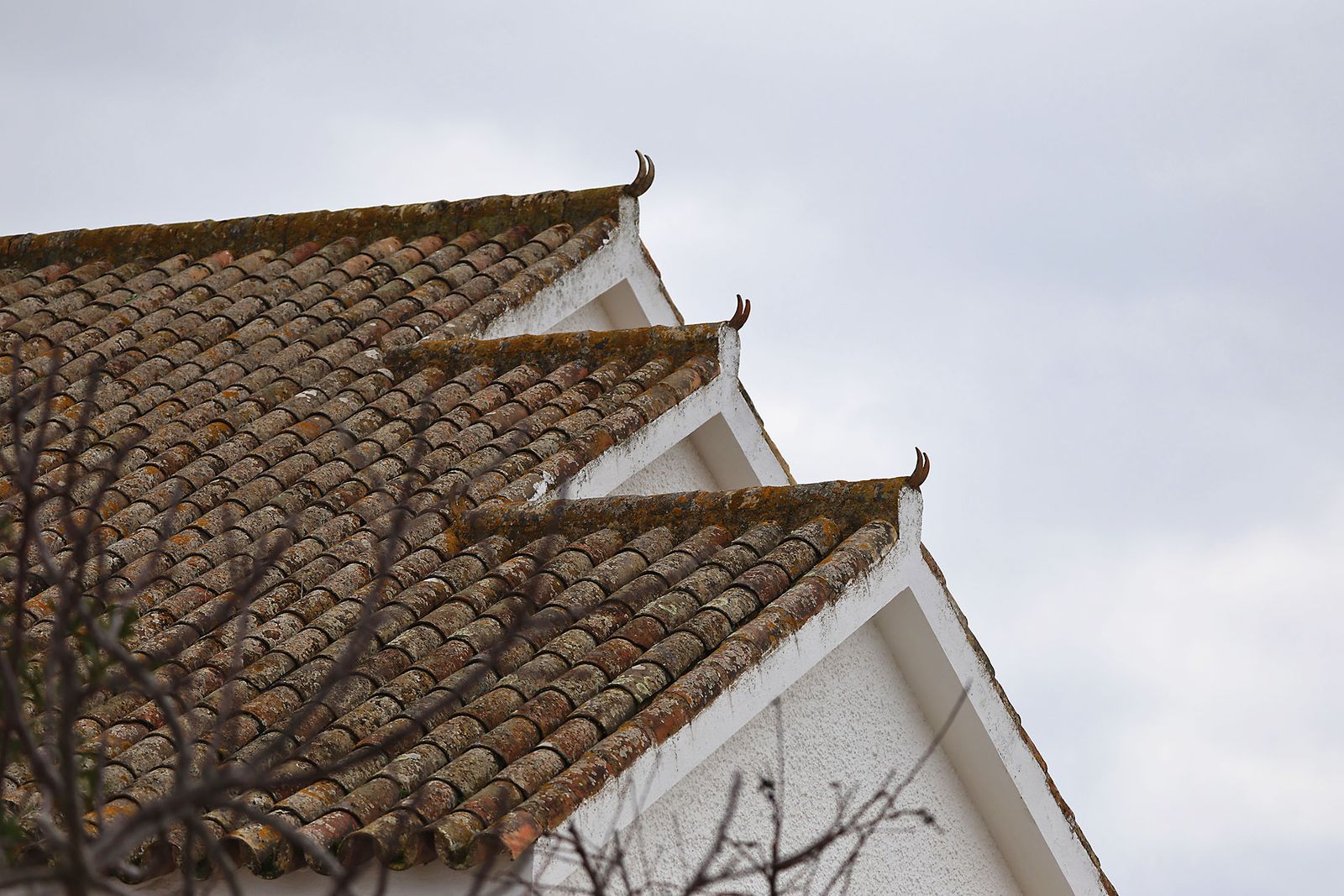 El inicio de 2026 en fotografías