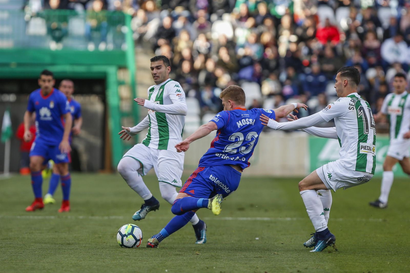 Las imágenes del Córdoba-Oviedo