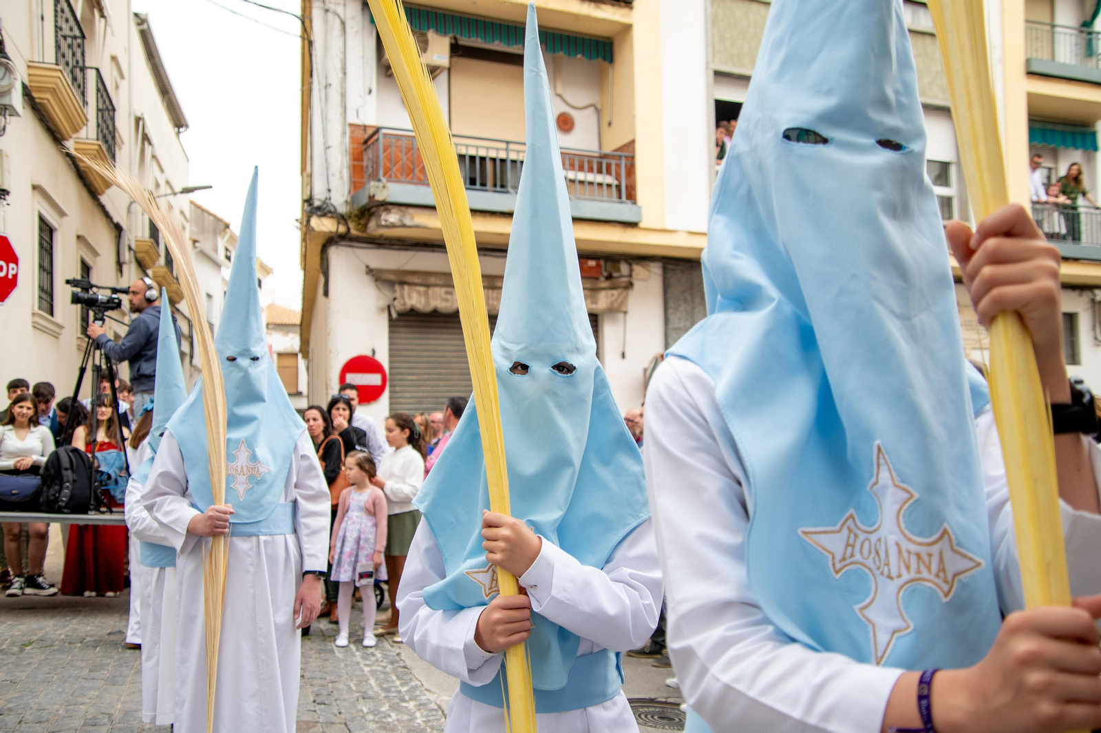 La procesión de la Borriquita de Montilla el Domingo de Ramos 2024, en imágenes