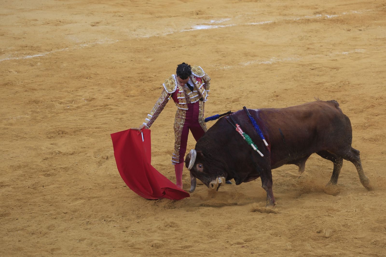 Fotos de la corrida de toros de la Feria de San Roque con David Galván, Román y Joaquín Galdós