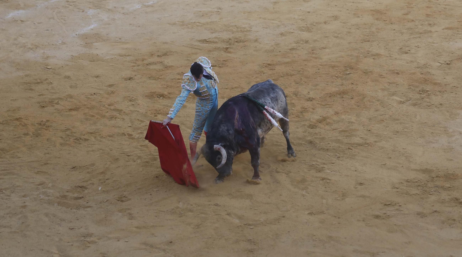 Las fotos de la corrida de toros de David Galván, Daniel Luque y Joaquín Galdós en San Roque