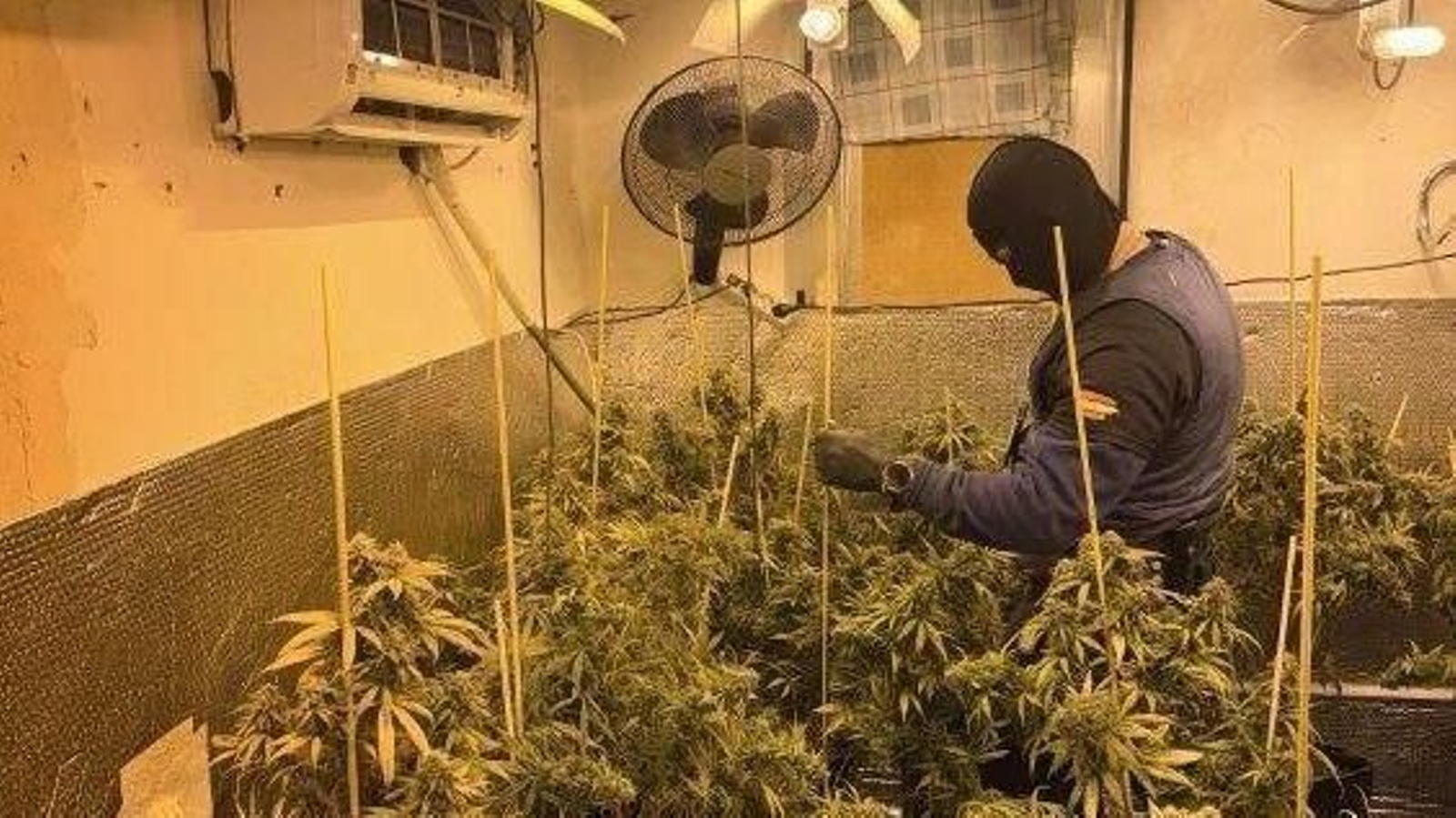 Uno de los registros llevados a cabo en el Sector Sur.