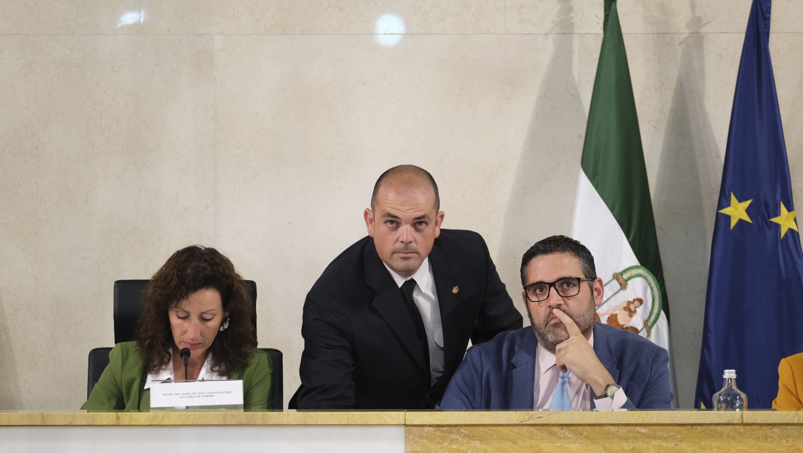 Imágenes del pleno ordinario del Ayuntamiento de Almería