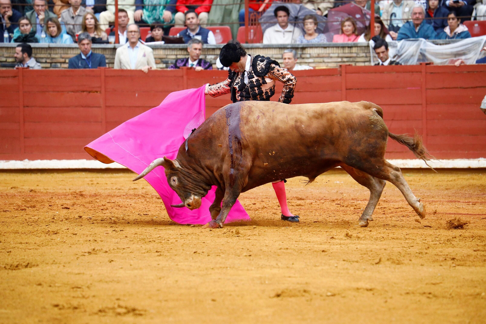 La última corrida de la Feria Taurina de Córdoba, en imágenes