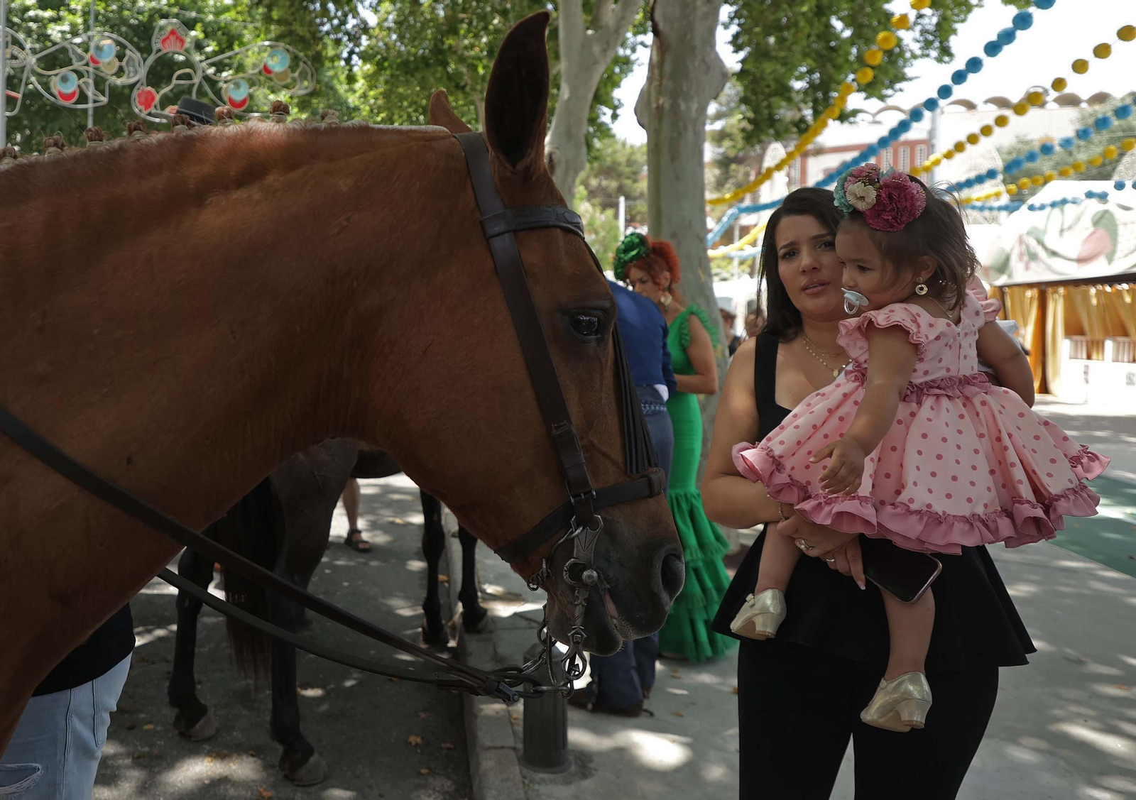 Fotos del tradicional concurso 'Paseo a Caballo' en la Feria Real de Algeciras 2025 Fotos del tradicional concurso 'Paseo a Caballo' en la Feria Real de Algeciras 2025