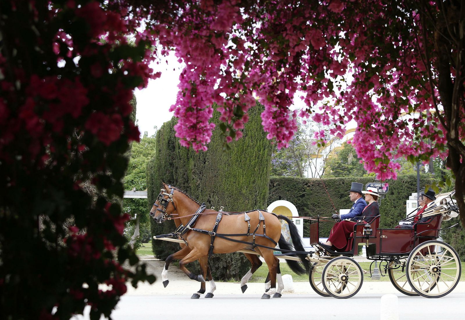 El concurso de enganches, en imágenes