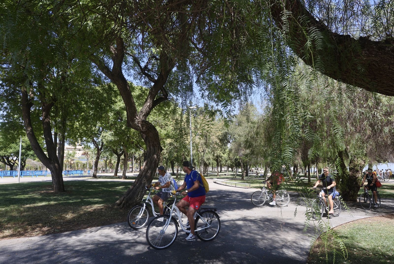 El Parque Magallanes es una de las grandes zonas verdes más cercanas al centro histórico de la ciudad.