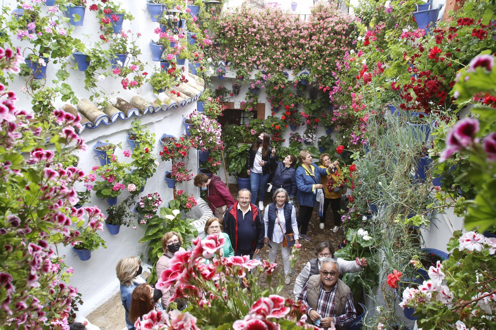 Los Patios de Córdoba reciben sus primeros visitantes, en imágenes