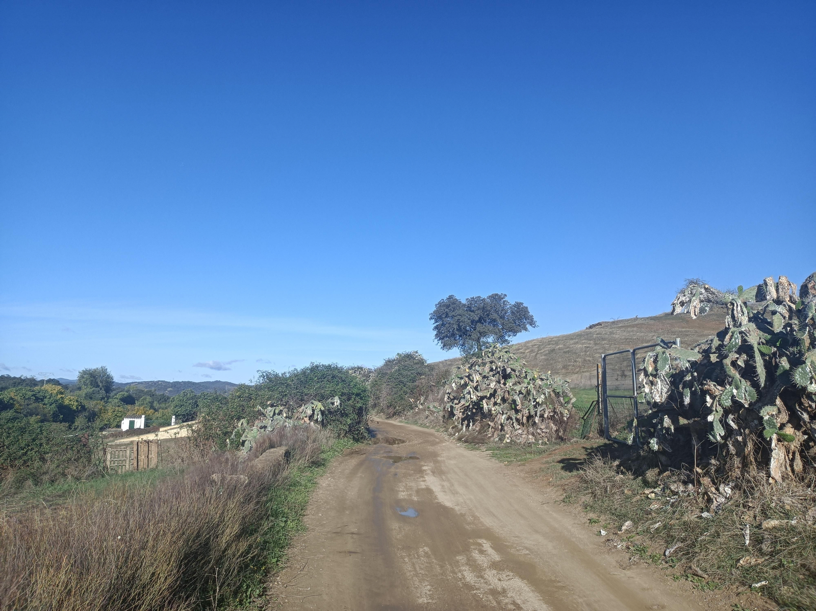 Fotos de la ruta de los molinos de Almadén de la Plata