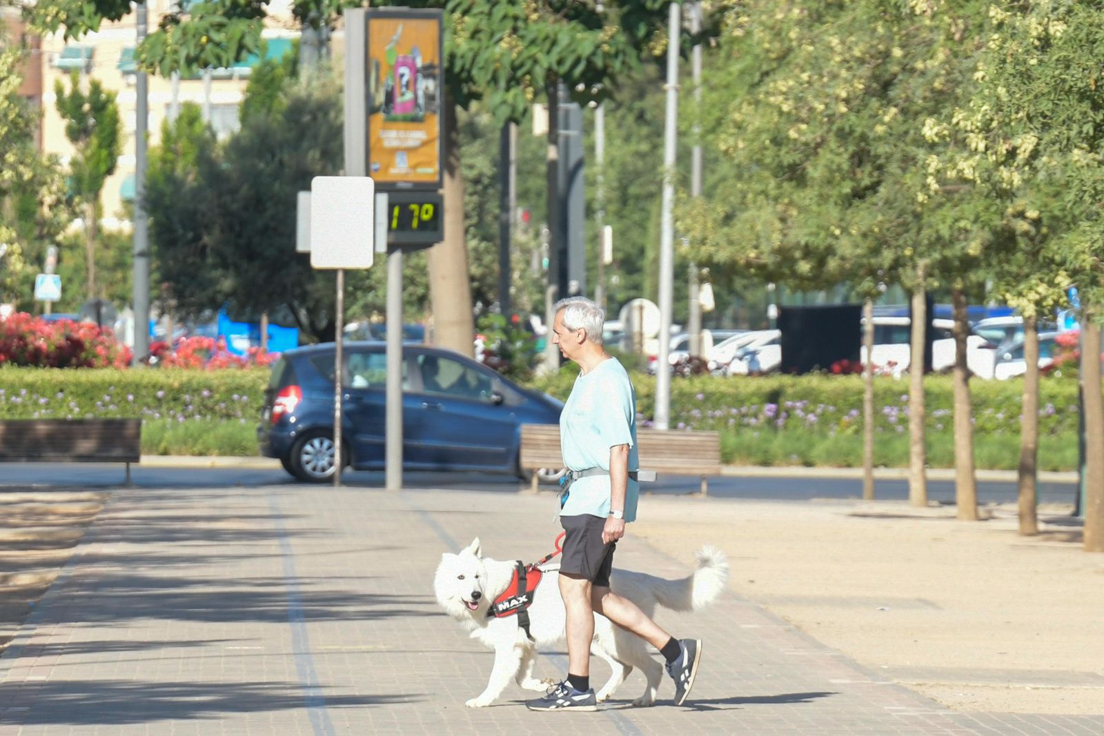 Continúa la bajada de pacientes con coronavirus en Granada pero suben las muertes