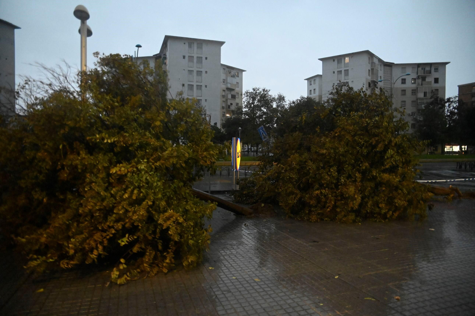 Las imágenes de los daños causados por el fuerte viento en el Sector Sur en Córdoba