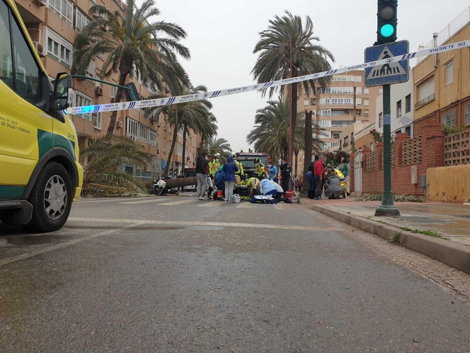 Una palmera causa un brutal accidente en Almería