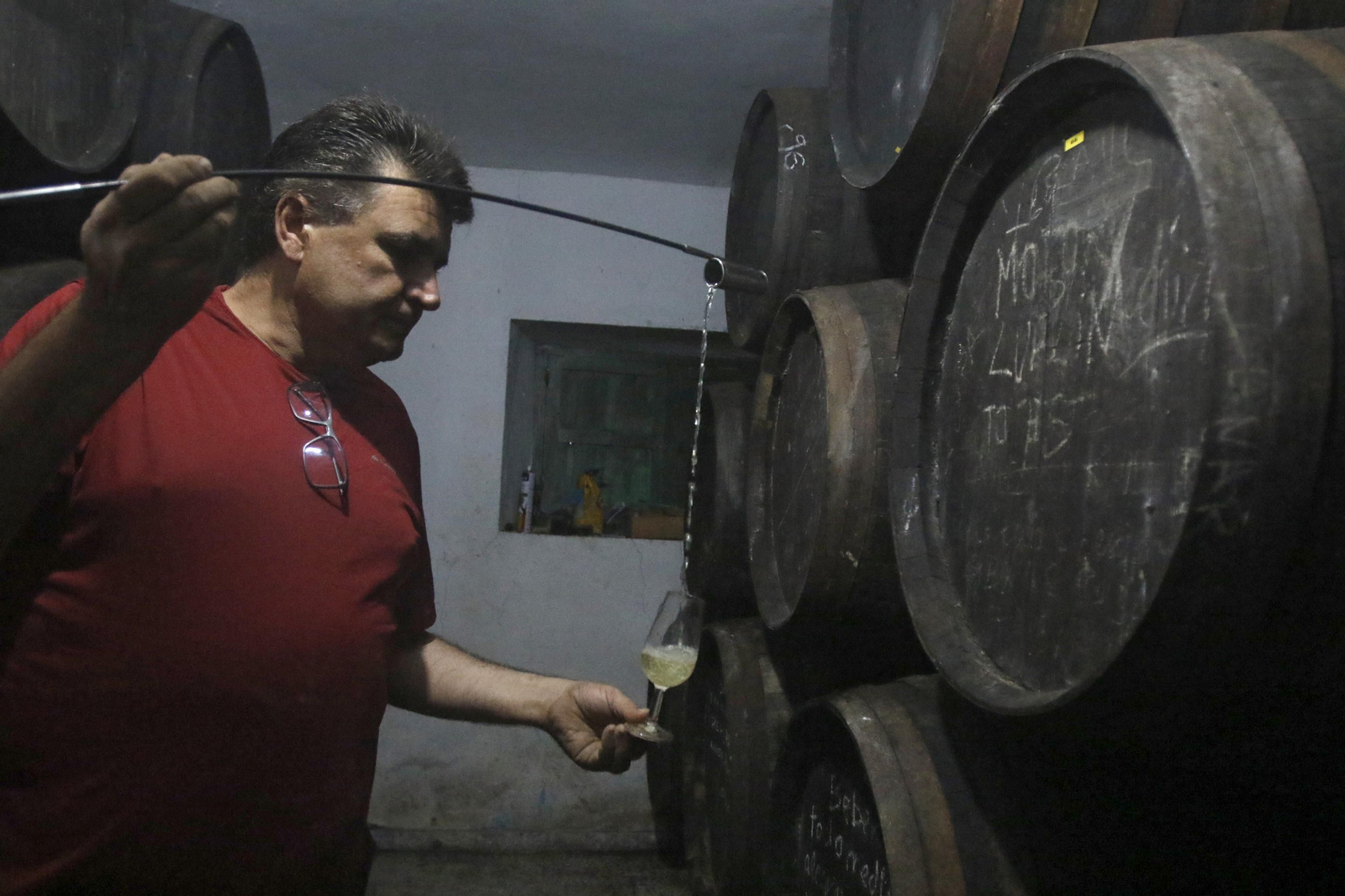 La vendimia en Montilla-Moriles, en fotografías