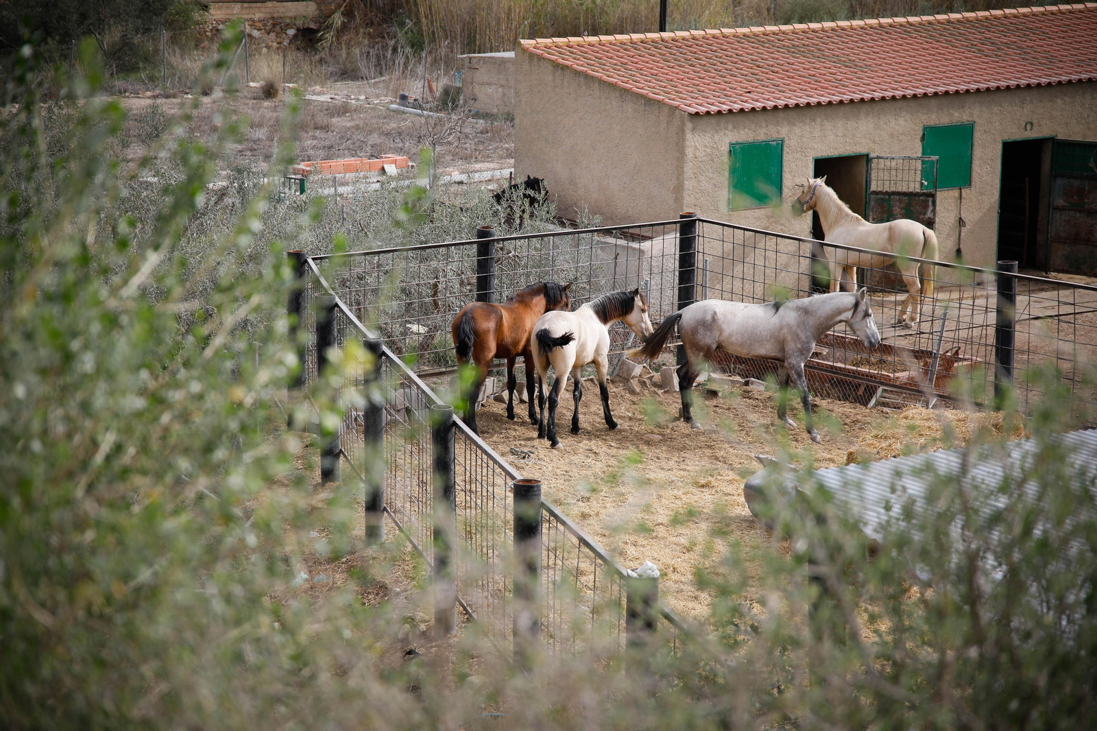 Entrevista al alcalde de los Gallardos y visita al pueblo en imágenes por el centenario como municipio independiente