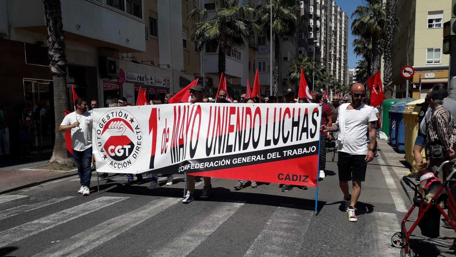 Una de las pancartas de la manifestación que discurrió por la Avenida Segunda Aguada. Una de las pancartas de la manifestación que discurrió por la Avenida Segunda Aguada.