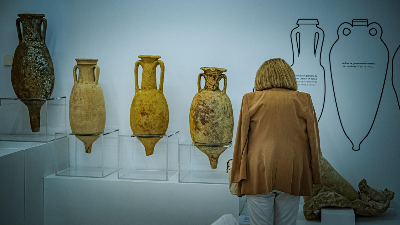 Las imágenes de la exposición VRBS IVLIA GADITANA en la Casa Pinillos del Museo de Cádiz