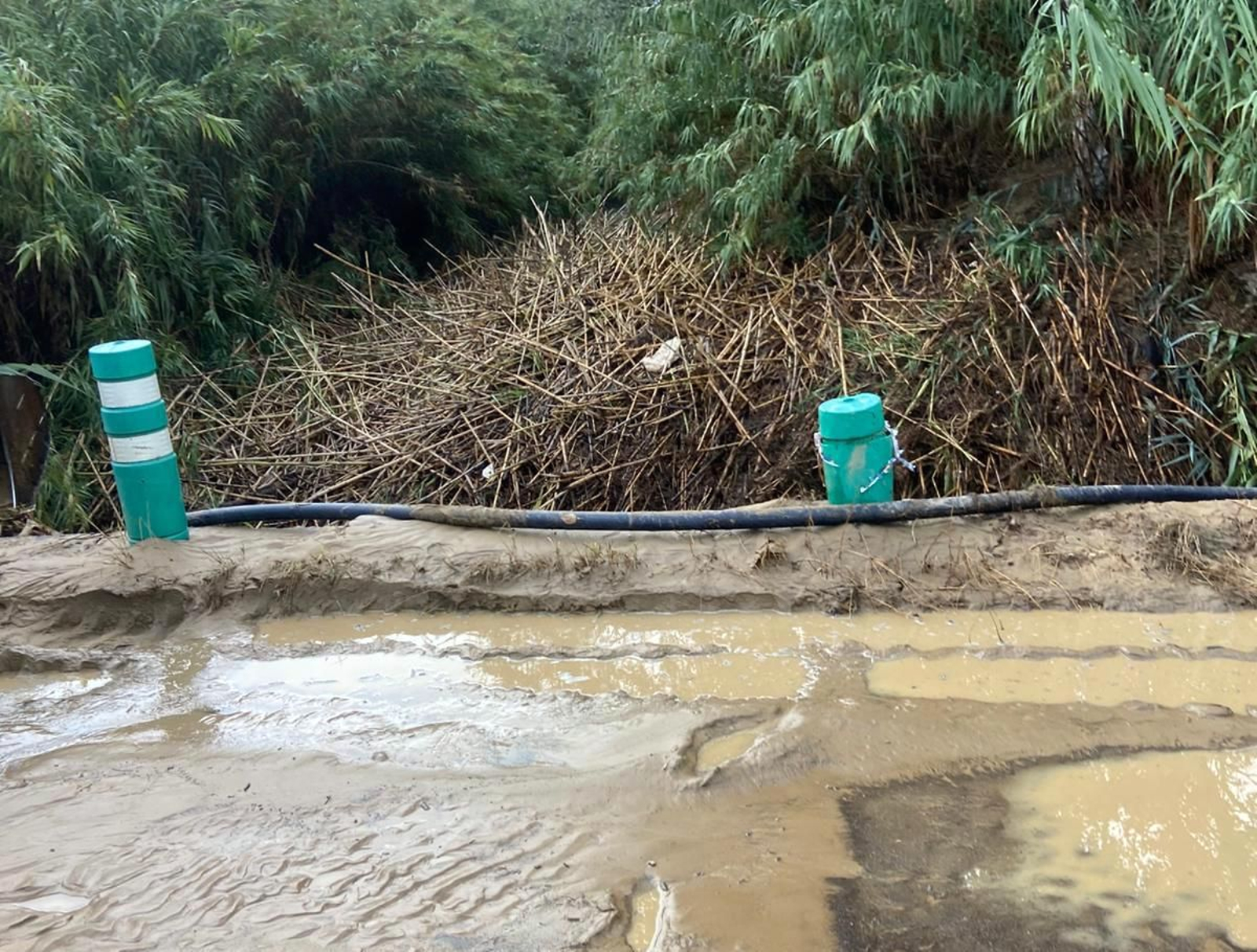 Un tapón de cañas, ramas y maleza, obstruyó el cauce de La Ramira (Cartaya), anegando fincas colindantes como la de Rocío Acosta Un tapón de cañas, ramas y maleza, obstruyó el cauce de La Ramira (Cartaya), anegando fincas colindantes como la de Rocío Acosta
