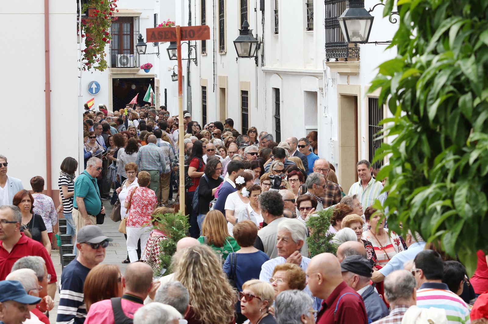 Ambiente en los patios ganadores de 2017