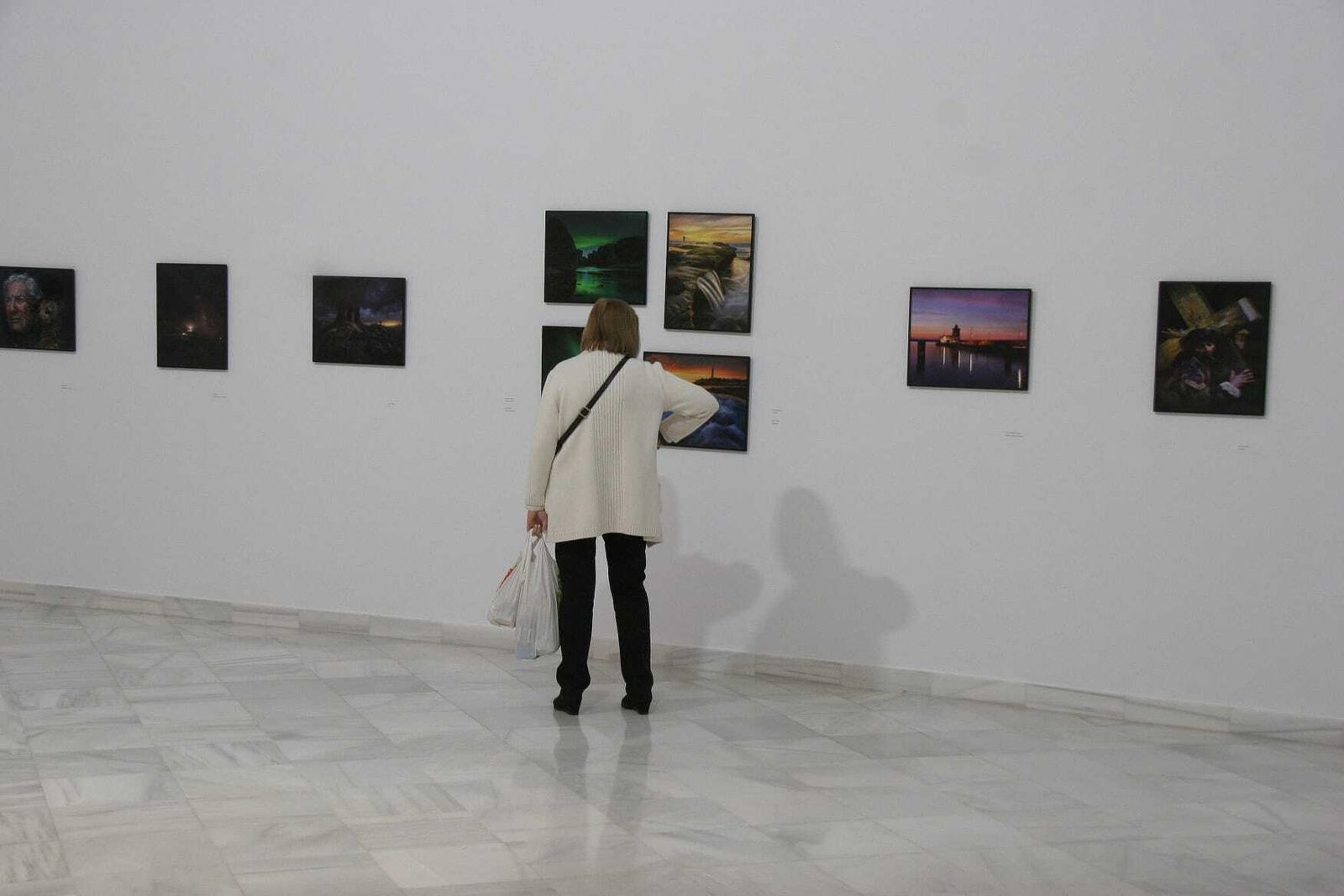 La exposición estará abierta en el centro cultural Alfonso X El Sabio hasta el día 20 de noviembre.