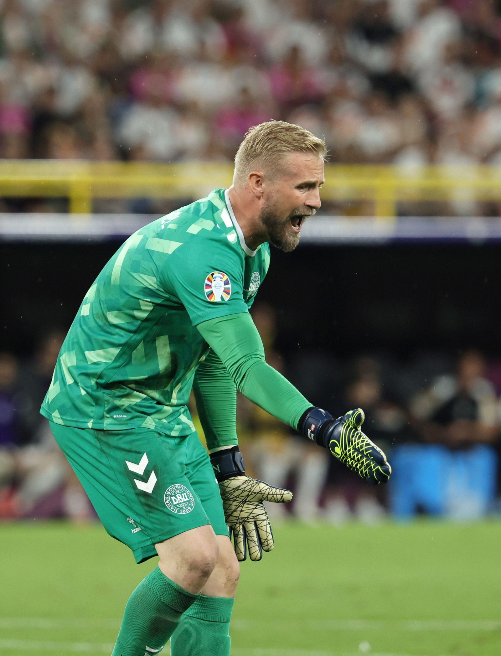 Las mejores fotos del Alemania - Dinamarca