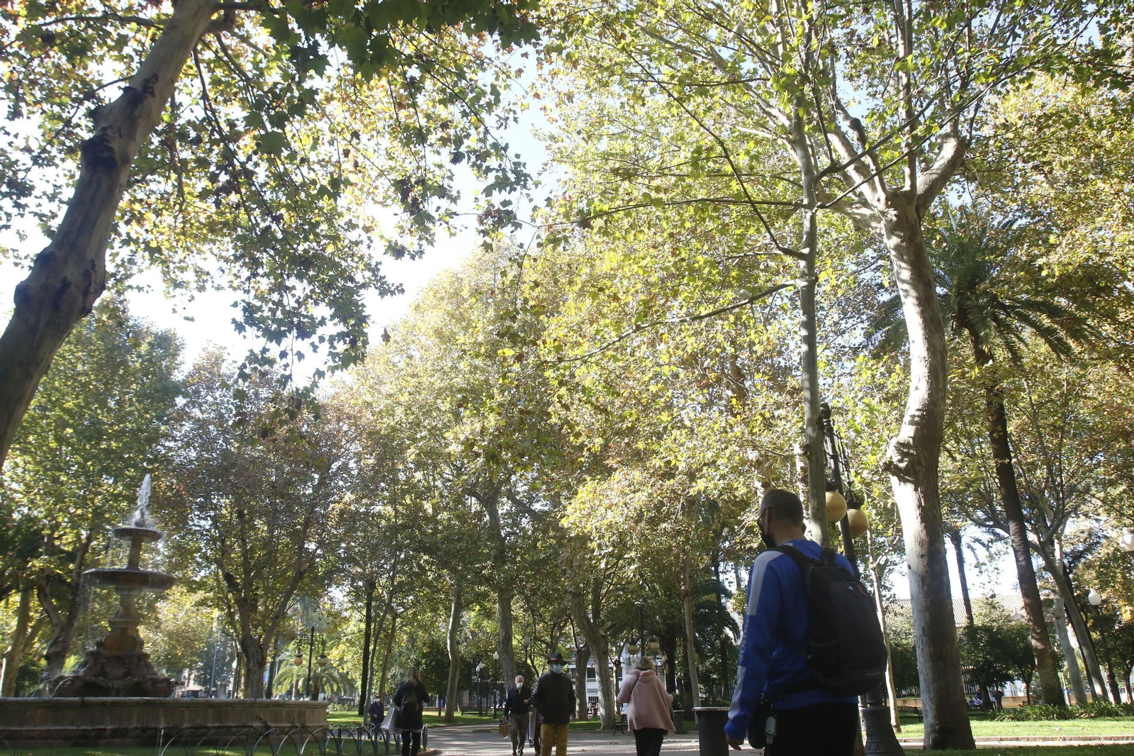 Varias personas pasean por el parque de Colón.