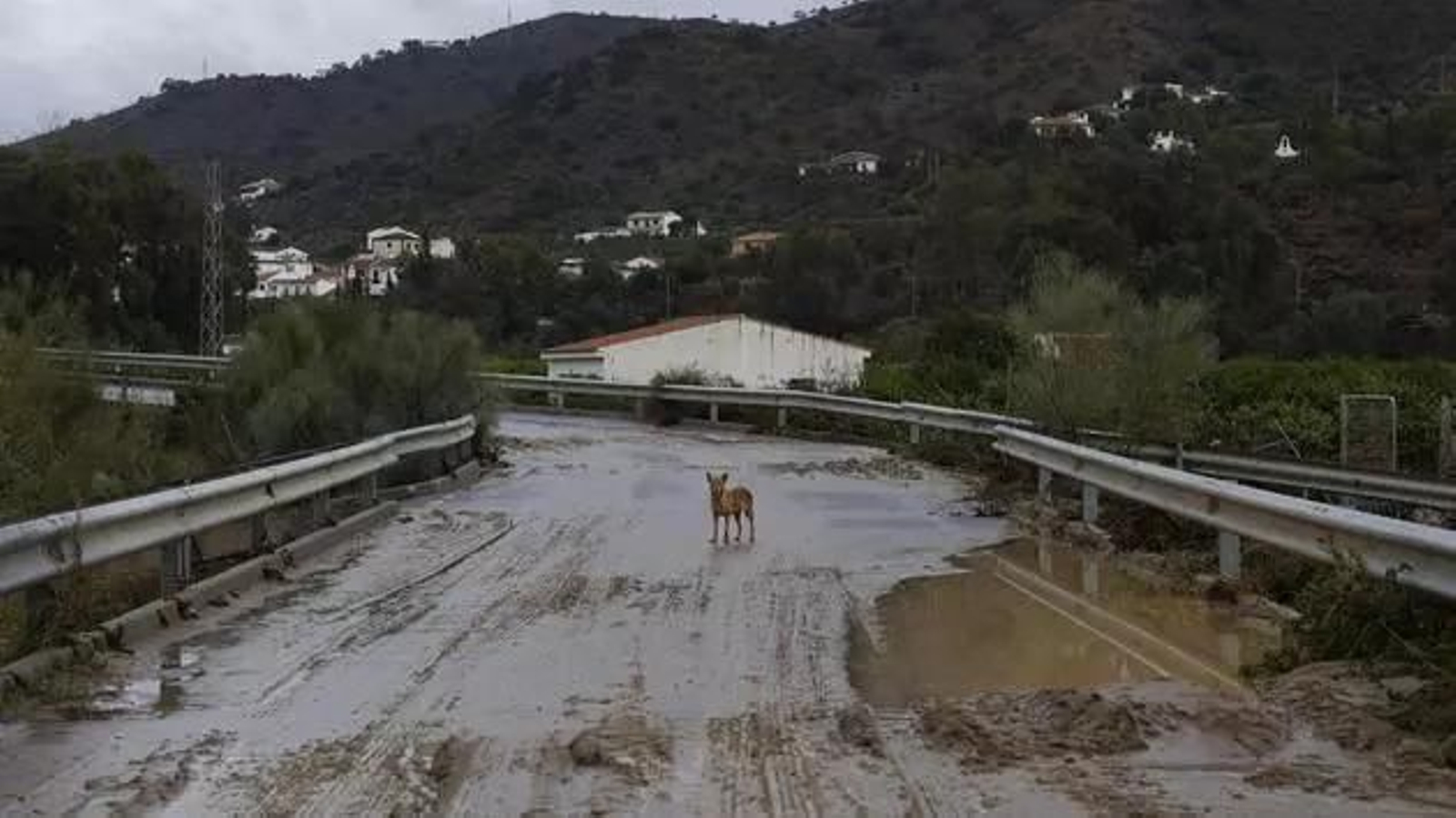 Álora, tras el paso de la DANA