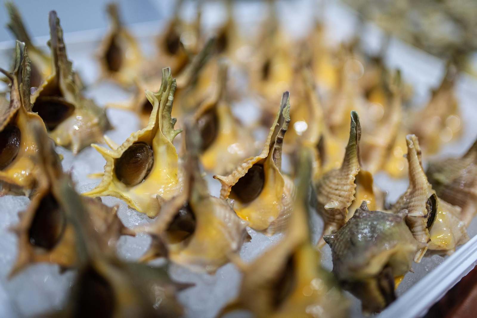 El marisco de Huelva, una joya gastronómica que enamora