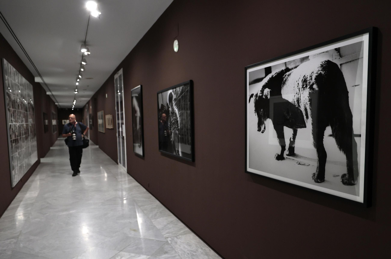 Exposición 'Diversidad en la colección del CAAC. La mirada fotográfica de Alberto García-Alix'