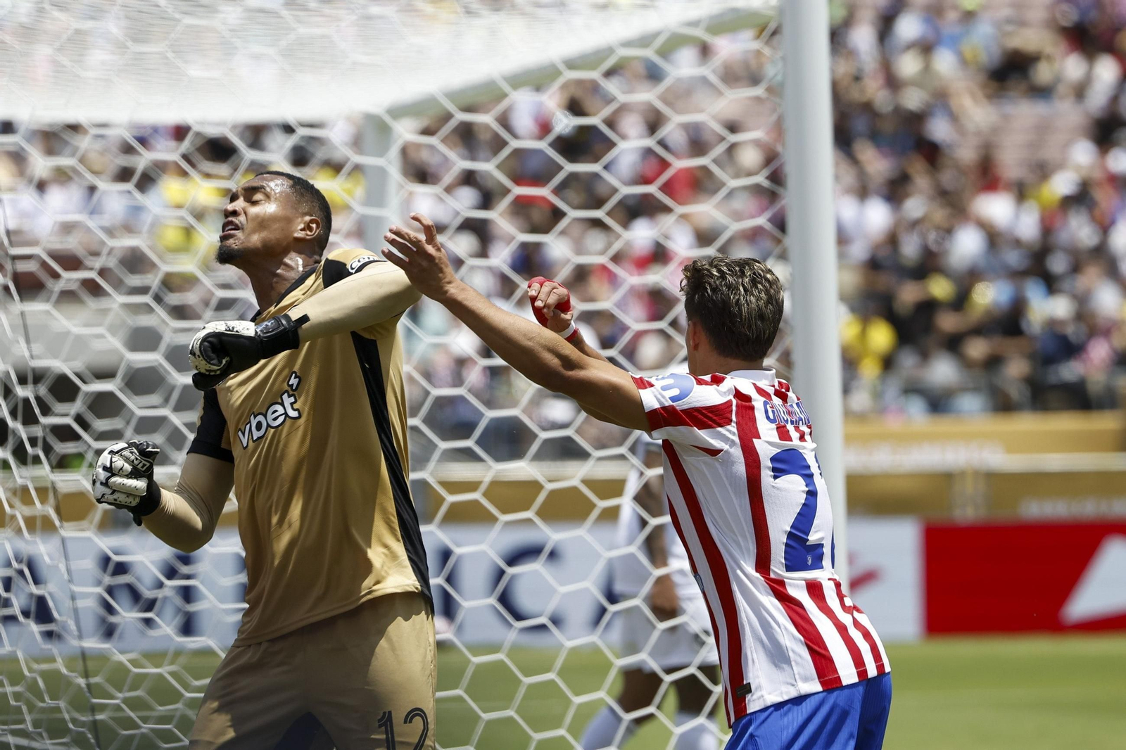 Las fotos del Atlético de Madrid - Botafogo Las fotos del Atlético de Madrid - Botafogo