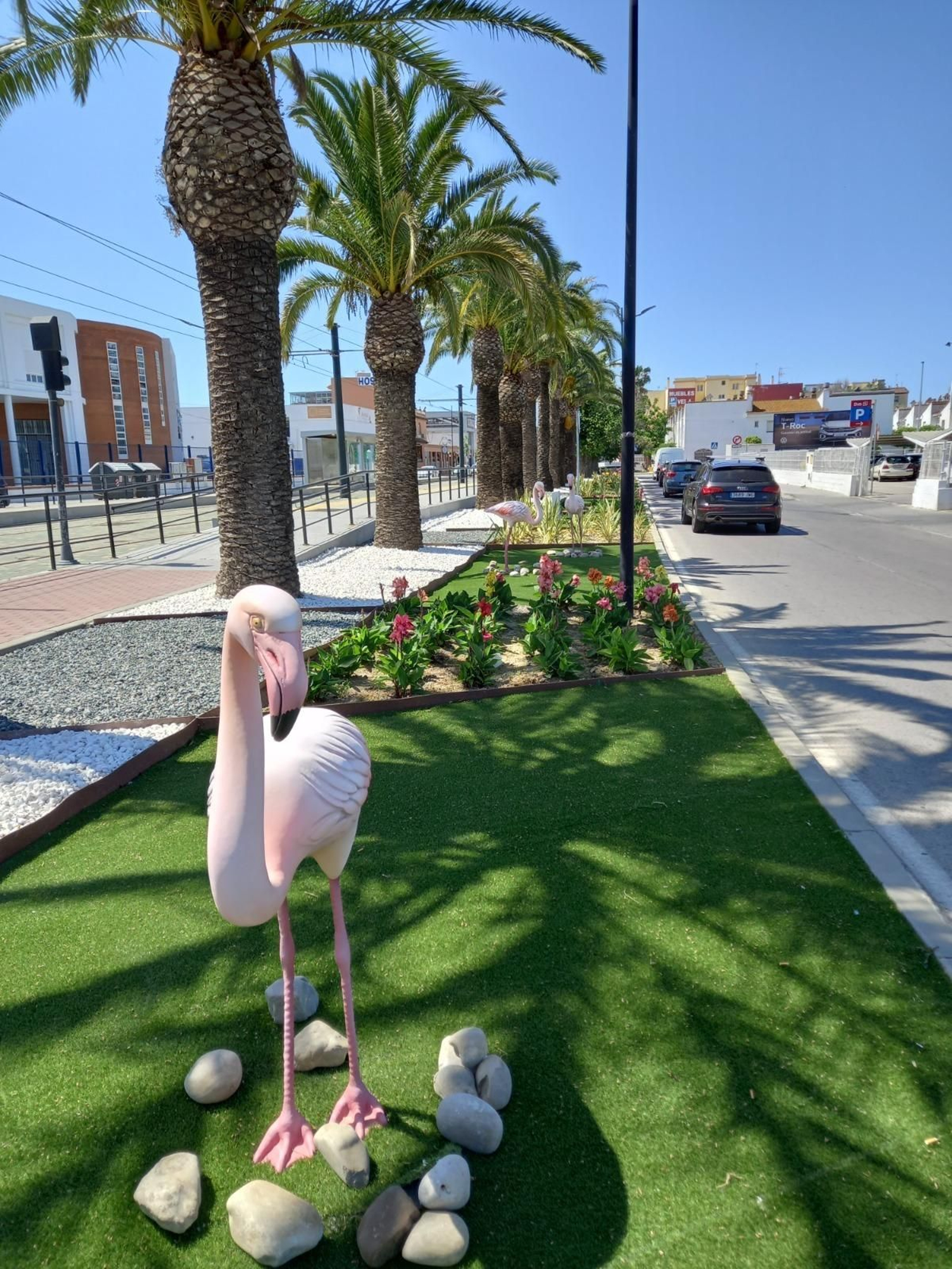 Flamencos en Alameda Solano, junto al Supermercado Día.