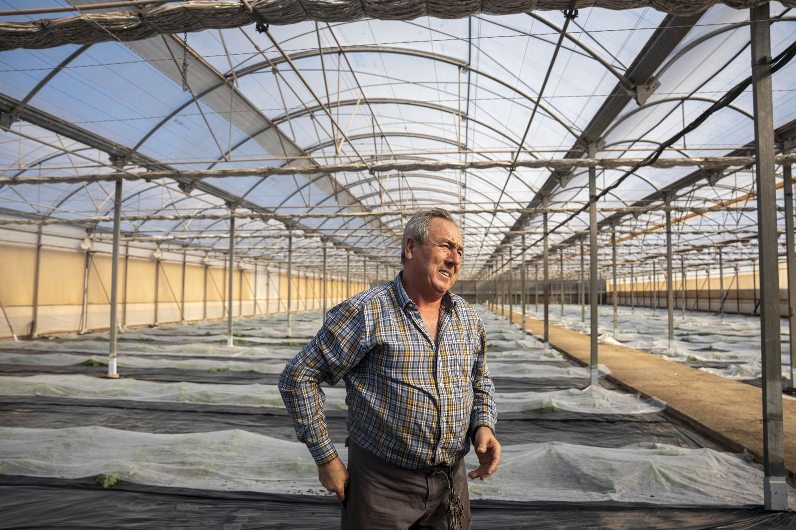La primavera se planta en invierno entre sandías y tomates almerienses