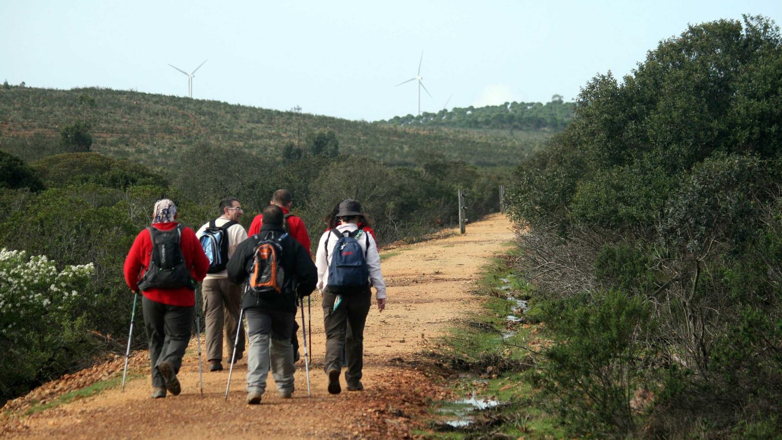Un grupo de senderistas recorren la ruta