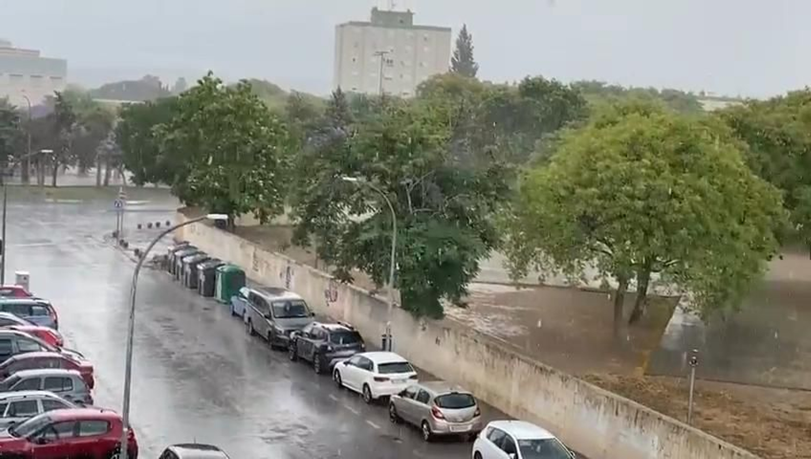 Lluvia en Jerez Lluvia en Jerez