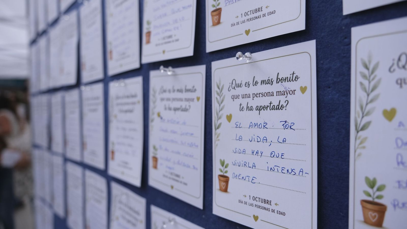 El Día de las Personas de Edad en Adra, organizado por el Ayuntamiento y Clece, en imágenes
