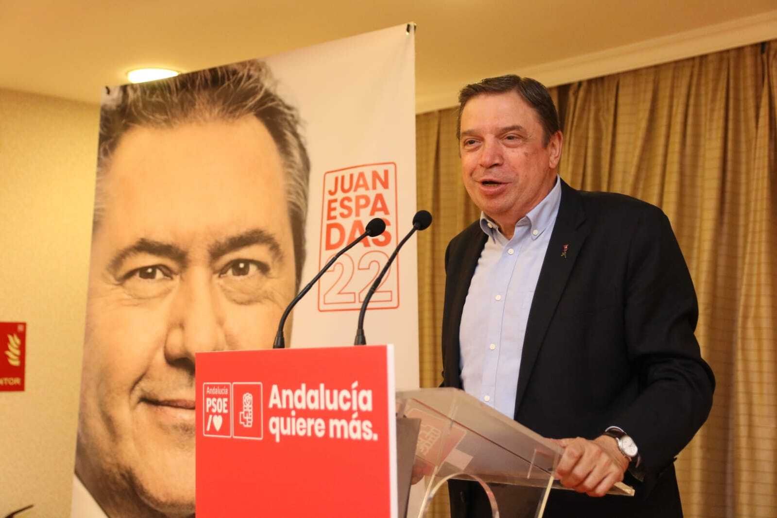 El ministro de Agricultura, Luis Planas, esta tarde en la capital.