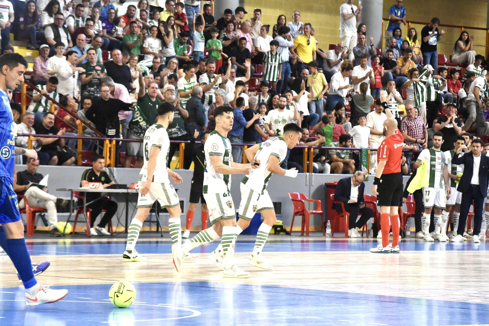 Las mejores fotos del ambiente en Vista Alegre para el Córdoba Futsal - Peñíscola