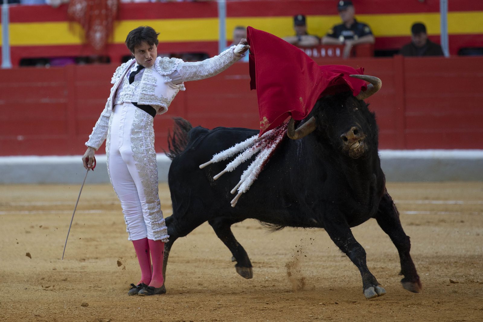 'Vendaval', de Juan Pedro Domecq, mejor toro del Corpus para los veterinarios de Granada