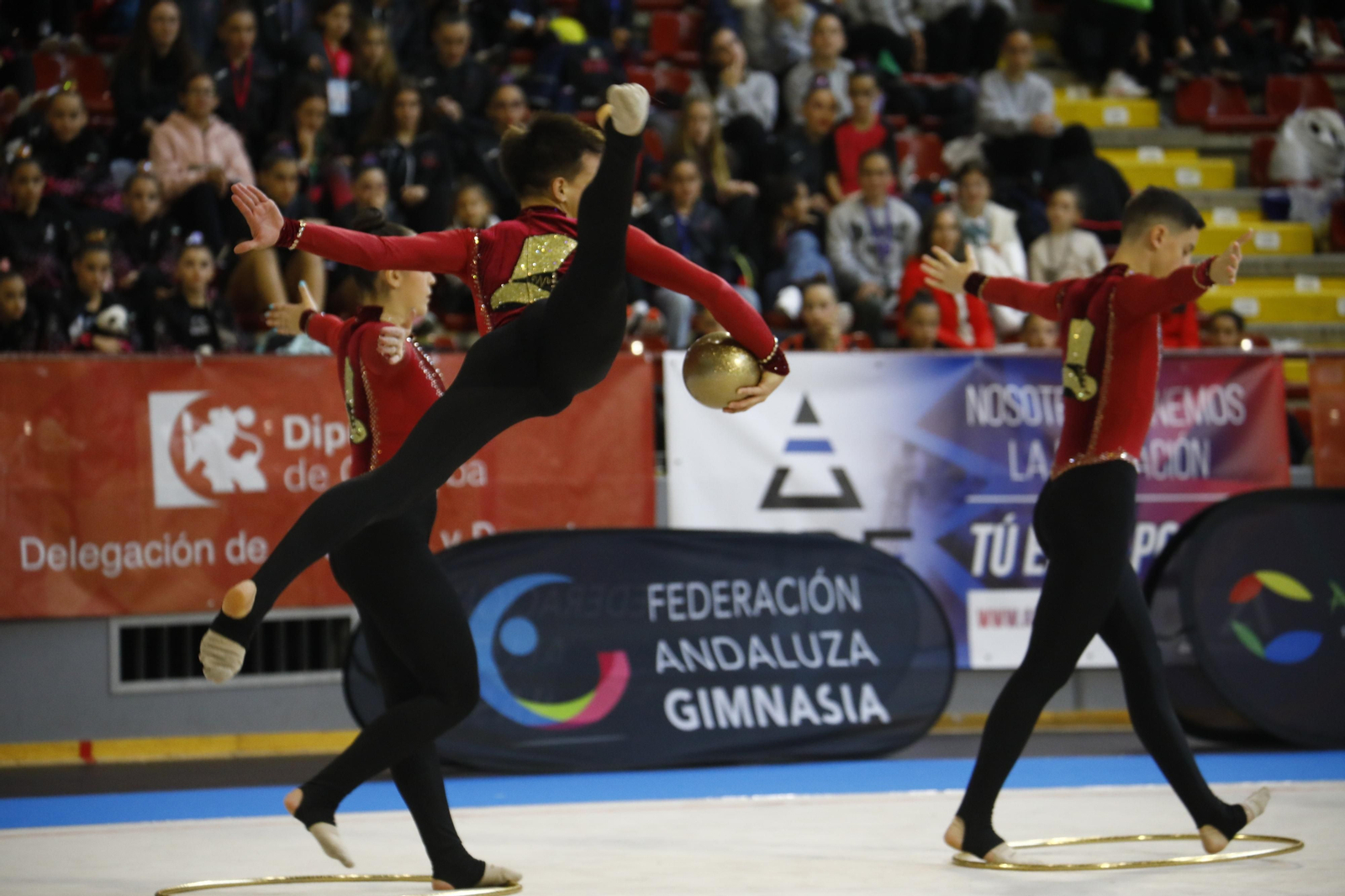 Las mejores imágenes del Torneo Nacional Ciudad de Córdoba de gimnasia rítmica