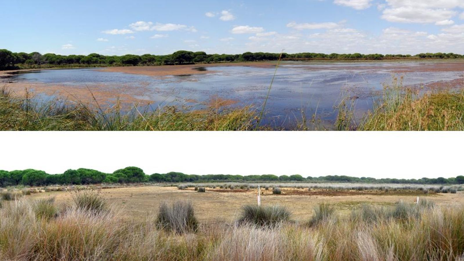 Comparativa de la laguna del Zahíllo