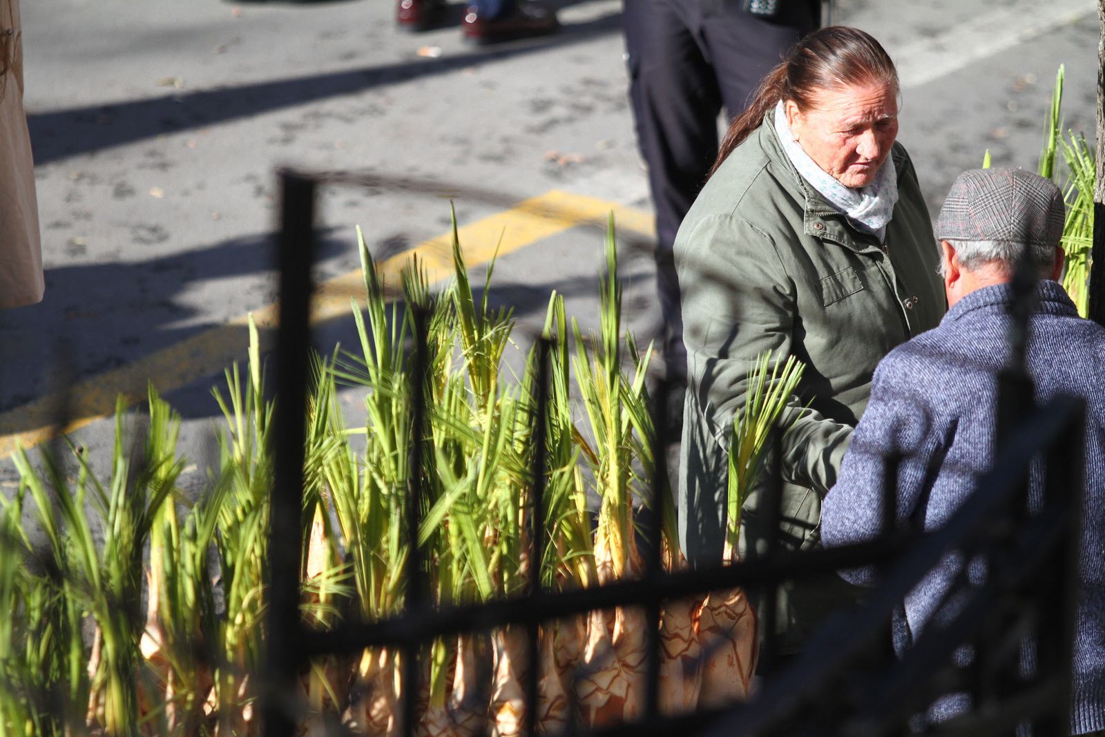 La procesión de San Sebastian en Imágenes.