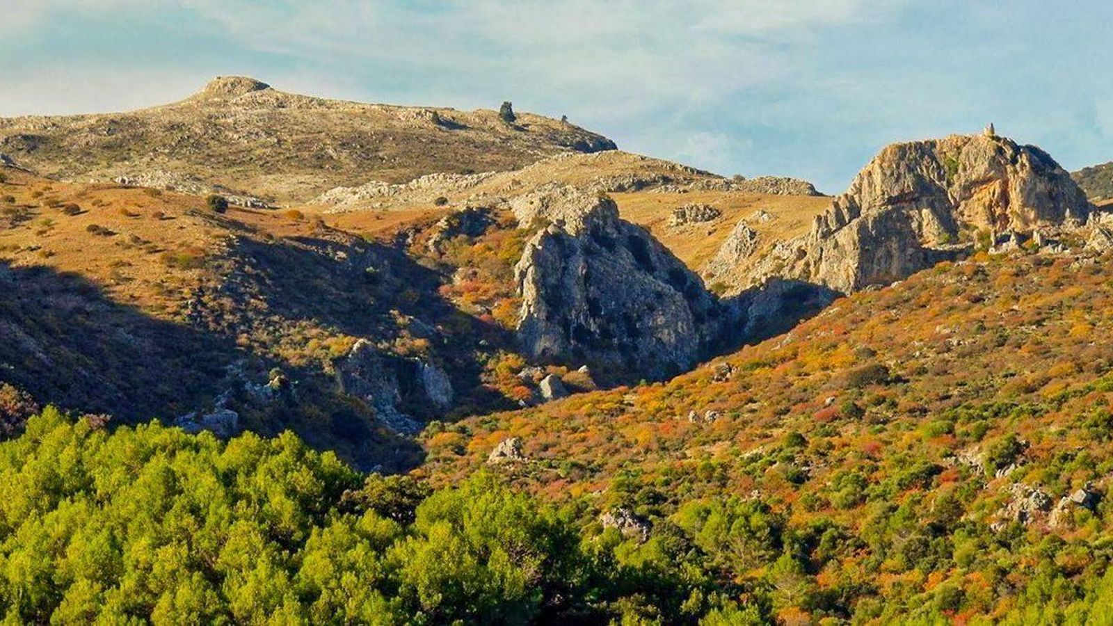 Una vista aérea del cornicabral de Lifa.