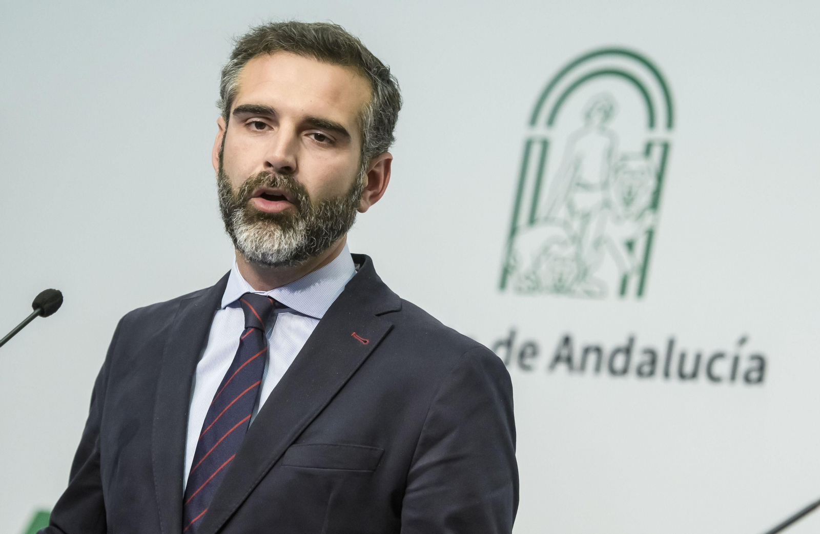 El portavoz de la Junta, Ramón Fernández-Pacheco.